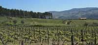 Eindrücke aus der Region Douro (13) &ndash; &copy; Marcus Hasselhorst (Eberhardt TRAVEL)