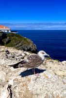 südwestlichsten Punkt Europas &ndash; &copy; Shari Hecker (Eberhardt TRAVEL)