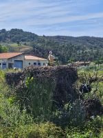Storch &ndash; &copy; Mariele Legler (Eberhardt TRAVEL)