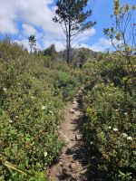 Wanderweg &ndash; &copy; Mariele Legler (Eberhardt TRAVEL)