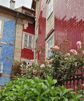 Fliesenpracht &ndash; &copy; Britta Martini-Miles (Eberhardt TRAVEL)