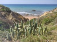 Algarven am Fischerweg  &ndash; &copy; Bernd Lahmann (Eberhardt TRAVEL)