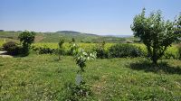 Weingut  in Favaios (13).jpg &ndash; &copy; Steffi Lambrecht (Eberhardt TRAVEL)