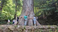 Naturpark Bussaco.jpg &ndash; &copy; Steffi Lambrecht (Eberhardt TRAVEL)