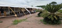Insel Sao Miguel, Ananas Plantage &ndash; &copy; Ria Heilmann (Eberhardt TRAVEL)