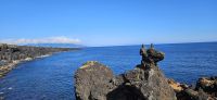 INsel Pico, Cacharro - das Hündchen &ndash; &copy; Ria Heilmann (Eberhardt TRAVEL)