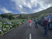 Hortensienallee &ndash; &copy; Martin Gruhle (Eberhardt TRAVEL)