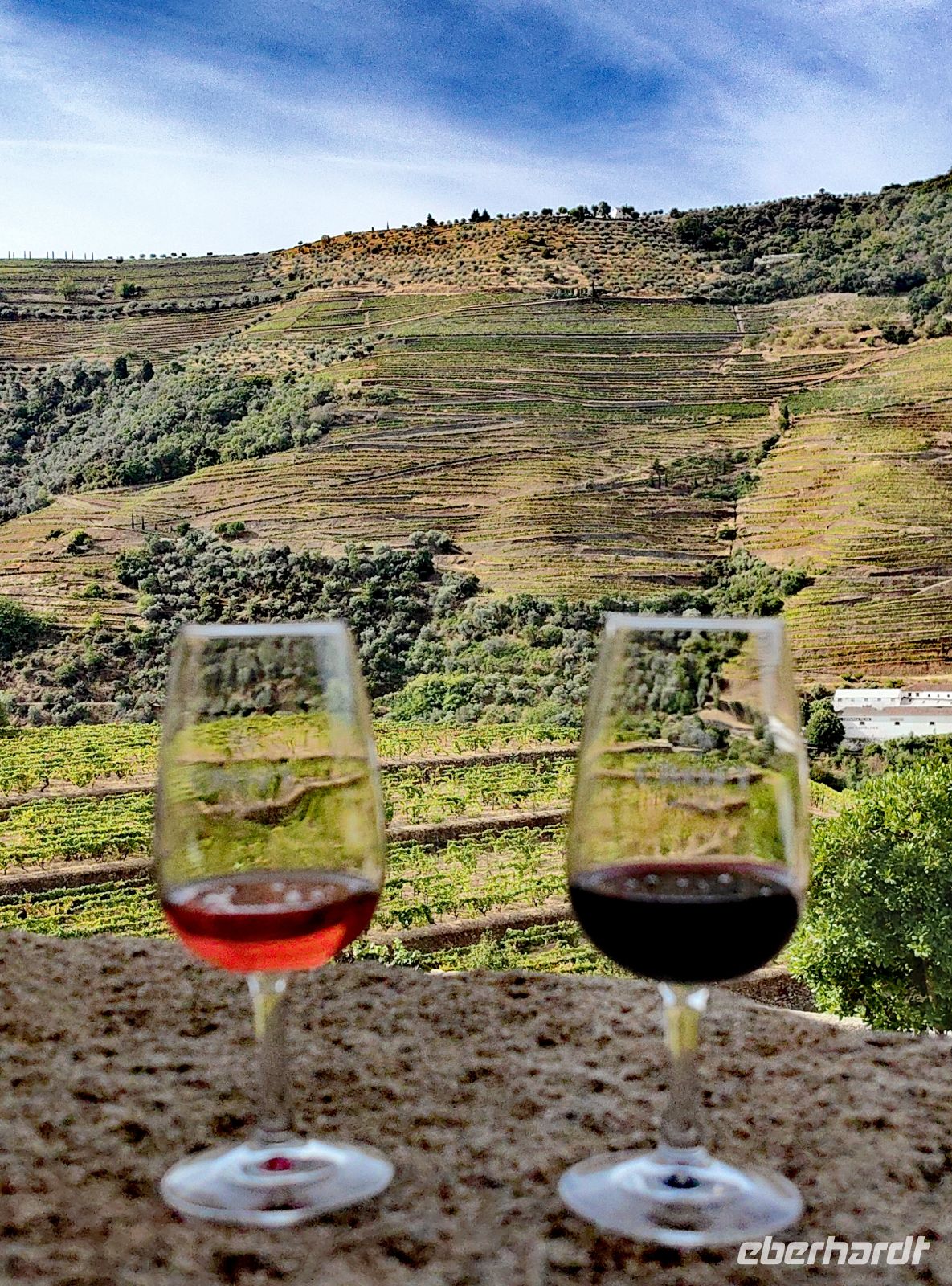 Porto Probe in der Quinta da Roeda in Pinhao &ndash; &copy; Simone Willner (Eberhardt TRAVEL)