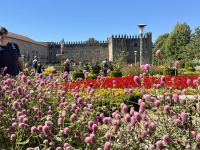 Braga (2) &ndash; &copy; Thomas Krupp (Eberhardt TRAVEL)
