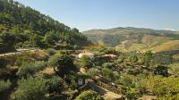 die Serpentinen wieder hinab... &ndash; &copy; Marlies Thrum (Eberhardt TRAVEL)