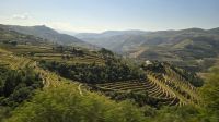Fahrt durch die Weinberge des Dourotales &ndash; &copy; Marlies Thrum (Eberhardt TRAVEL)