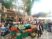 Besuch der Markthalle Mercado dos Lavradores, Funchal &ndash; &copy; Andrey Kulikov (Eberhardt TRAVEL)