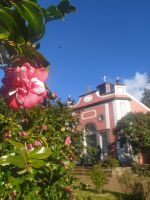 Besuch der Quinta do Palheiro (Garten der Familie Blandy)