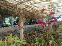 Besichtigung der Quinta da Boa Vista, Orchideengarten &ndash; &copy; Andrey Kulikov (Eberhardt TRAVEL)