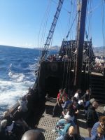 Bootsfahrt entlang der Küste Madeiras mit Santa Maria &ndash; &copy; Andrey Kulikov (Eberhardt TRAVEL)