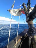 Bootsfahrt entlang der Küste Madeiras mit Santa Maria &ndash; &copy; Andrey Kulikov (Eberhardt TRAVEL)