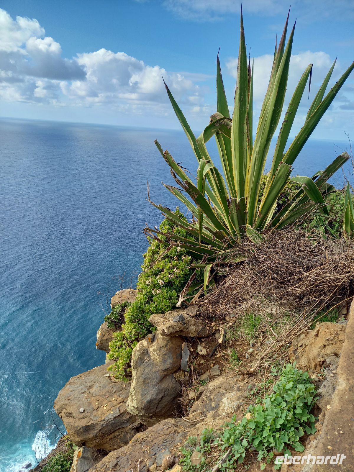 Steilküste Ponta do Pargo .jpg &ndash; &copy; Franciska Bauer (Eberhardt TRAVEL)