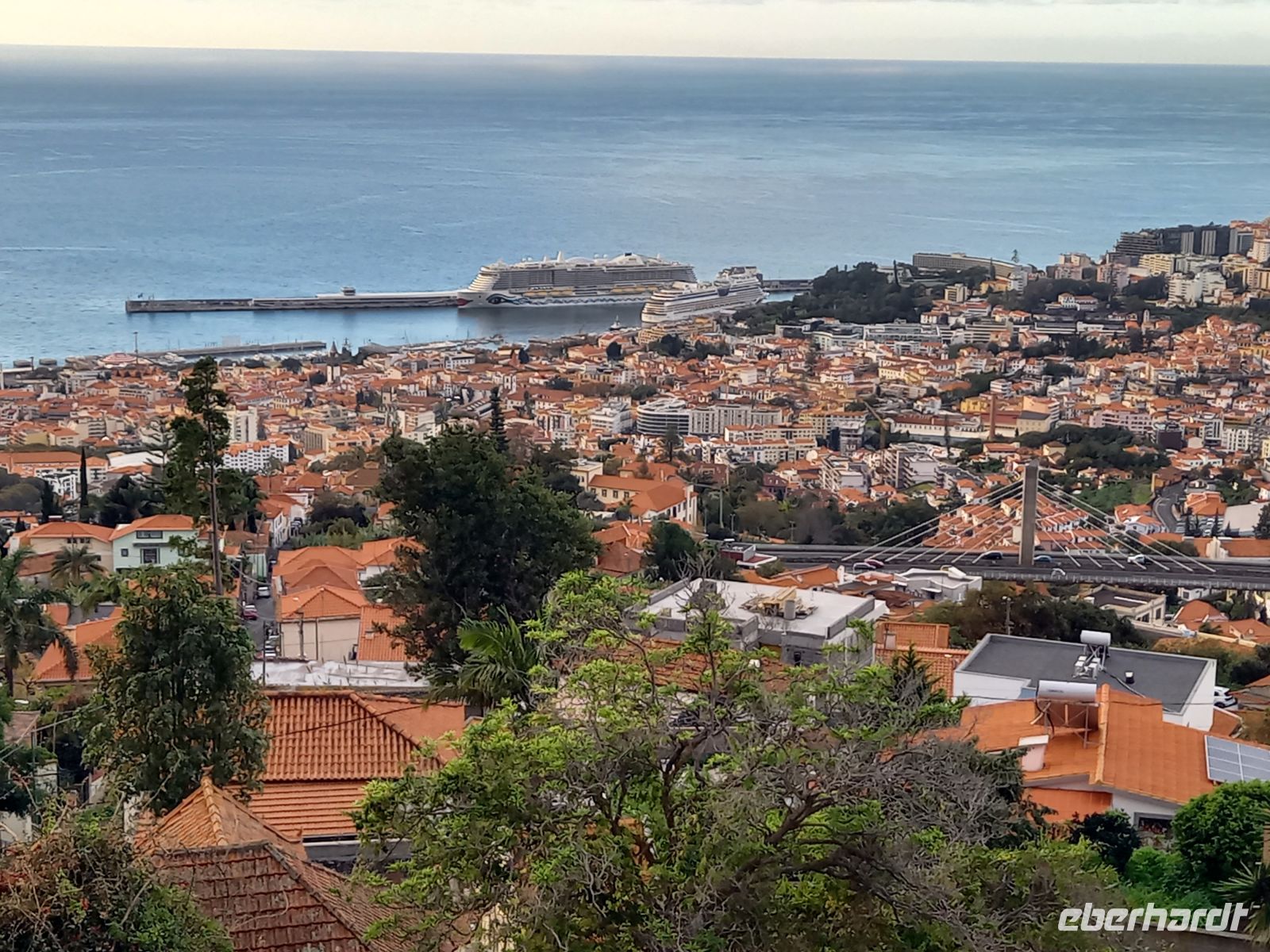 Blick auf den Hafen von Funchal.jpg &ndash; &copy; Franciska Bauer (Eberhardt TRAVEL)