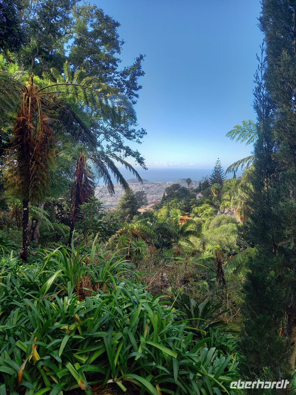 Monte Palace Tropical Garden .jpg &ndash; &copy; Franciska Bauer (Eberhardt TRAVEL)