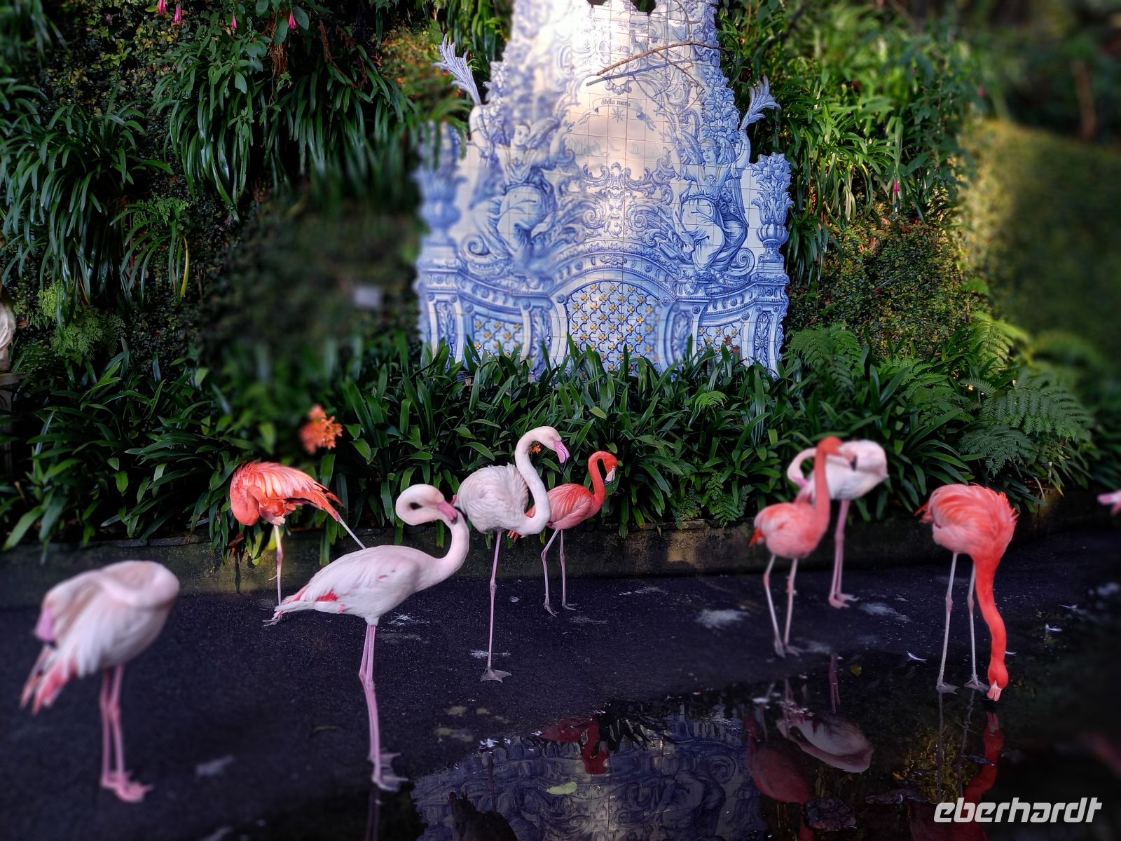 Flamingos.jpg &ndash; &copy; Franciska Bauer (Eberhardt TRAVEL)