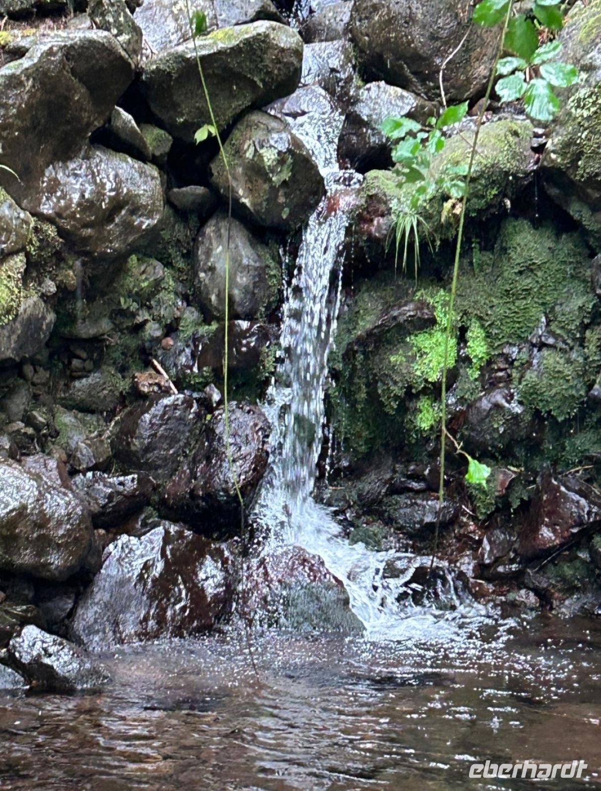 Wasserfall.jpg &ndash; &copy; Franciska Bauer (Eberhardt TRAVEL)