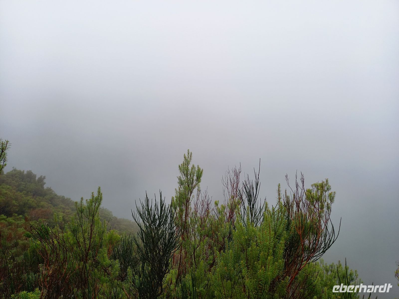 Mystischer Ausblick.jpg &ndash; &copy; Franciska Bauer (Eberhardt TRAVEL)