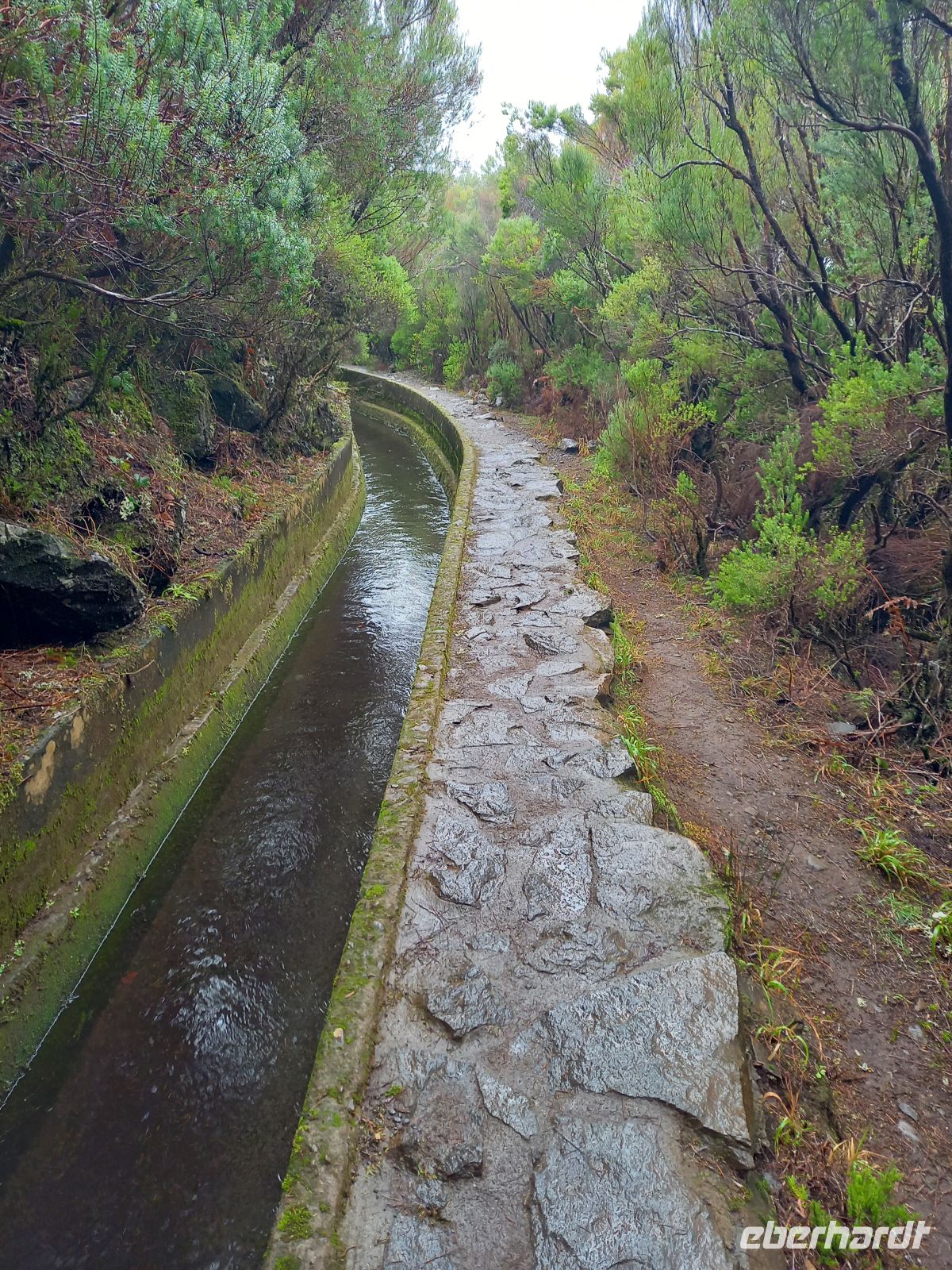 Levada.jpg &ndash; &copy; Franciska Bauer (Eberhardt TRAVEL)