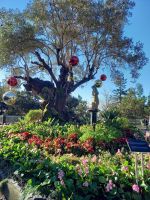 Monte Palace Tropical Garden.jpg &ndash; &copy; Franciska Bauer (Eberhardt TRAVEL)