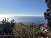 Blick auf Funchal.jpg &ndash; &copy; Franciska Bauer (Eberhardt TRAVEL)