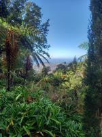 Monte Palace Tropical Garden .jpg &ndash; &copy; Franciska Bauer (Eberhardt TRAVEL)