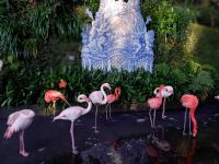 Flamingos.jpg &ndash; &copy; Franciska Bauer (Eberhardt TRAVEL)