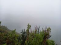 Mystischer Ausblick.jpg &ndash; &copy; Franciska Bauer (Eberhardt TRAVEL)