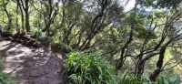 18 Madeira Buchfinken &ndash; &copy; Susanne Schirmann (Eberhardt TRAVEL)