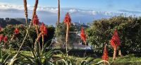 66 Ausblick Pico dos Barcelos &ndash; &copy; Susanne Schirmann (Eberhardt TRAVEL)
