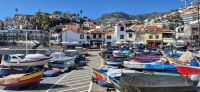 83 Camara de Lobos