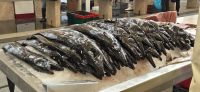 101 Espada in der Fischhalle &ndash; &copy; Susanne Schirmann (Eberhardt TRAVEL)