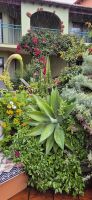 114 Kräutergarten in der Quinta &ndash; &copy; Susanne Schirmann (Eberhardt TRAVEL)
