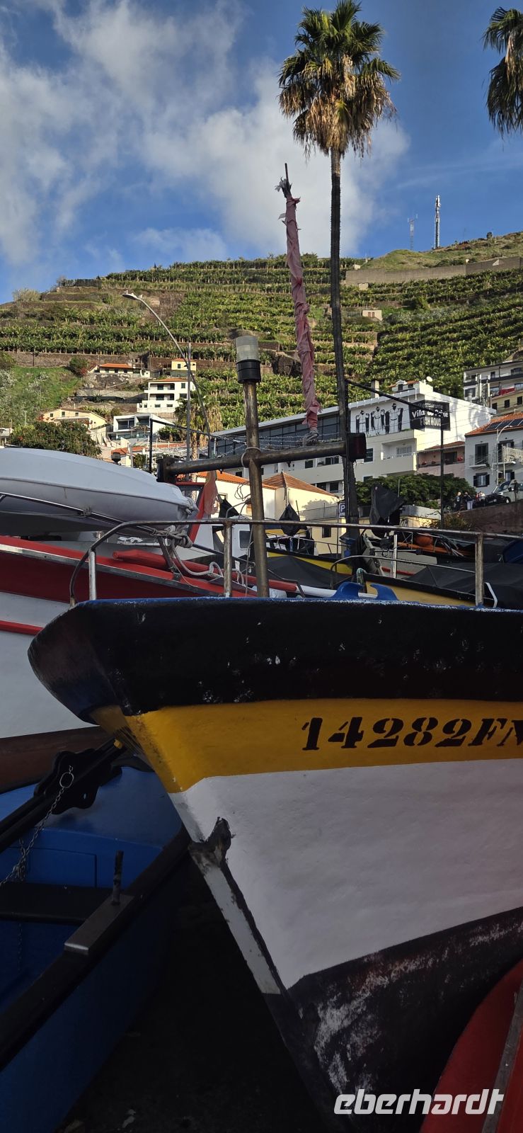 Madeira - Câmara de Lobos &ndash; &copy; Ronja Wagner (Eberhardt TRAVEL)
