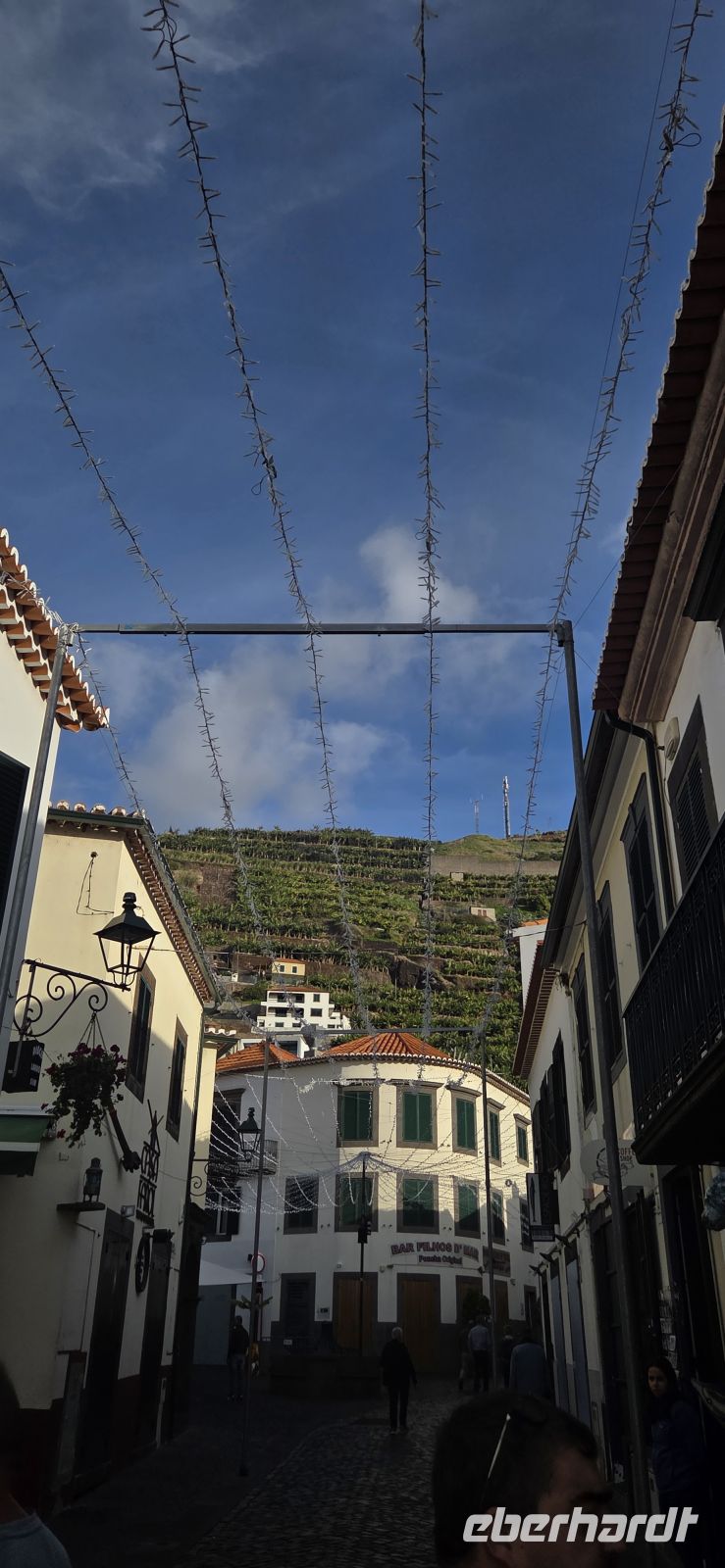 Madeira - Câmara de Lobos &ndash; &copy; Ronja Wagner (Eberhardt TRAVEL)