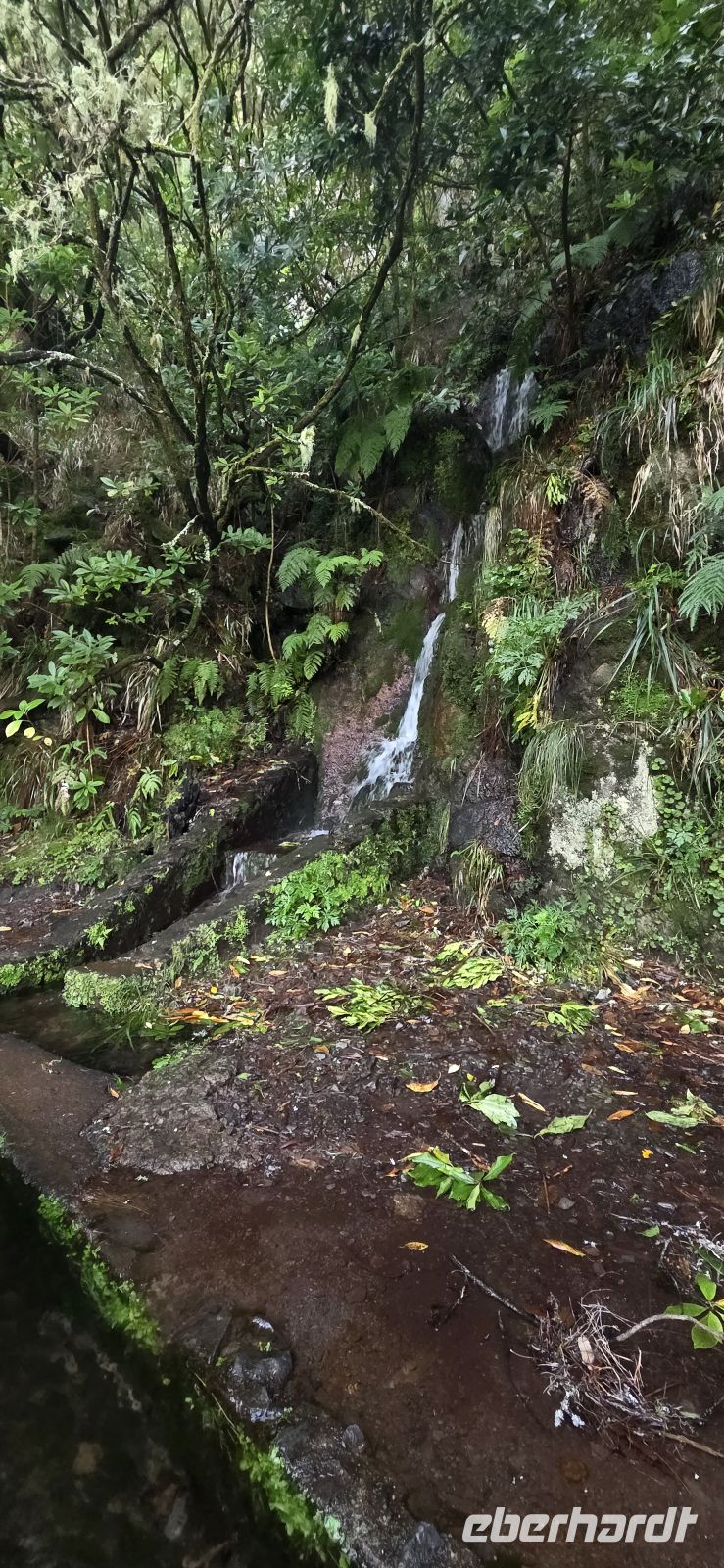 Madeira - Tal von Rabaçal &ndash; &copy; Ronja Wagner (Eberhardt TRAVEL)