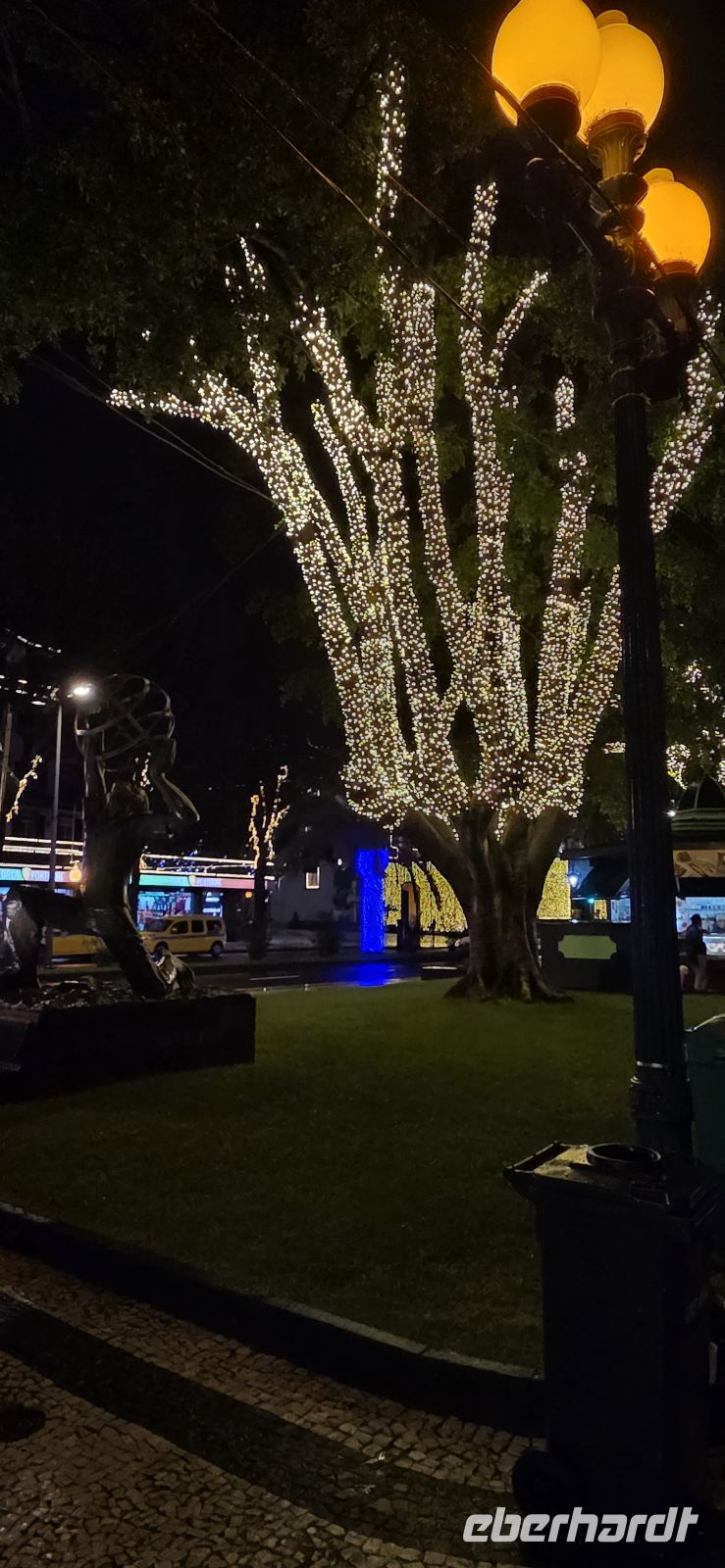 Madeira - Lichterfahrt in Funchal  &ndash; &copy; Ronja Wagner (Eberhardt TRAVEL)