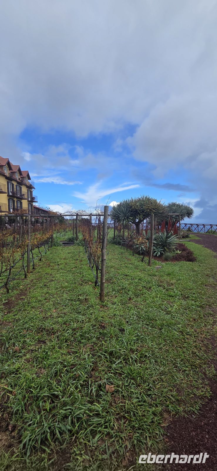Madeira - Hotel & Weinplantage Quinta do Furão &ndash; &copy; Ronja Wagner (Eberhardt TRAVEL)