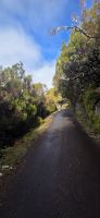 Madeira - Tal von Rabaçal