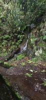 Madeira - Tal von Rabaçal