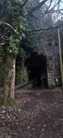 Madeira - Tunel der Route der 25 Quellen &ndash; &copy; Ronja Wagner (Eberhardt TRAVEL)