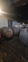 Madeira - Blandys Weinkeller in Funchal &ndash; &copy; Ronja Wagner (Eberhardt TRAVEL)