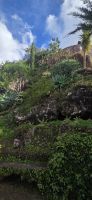 Madeira - Botanischer Garten Funchal  &ndash; &copy; Ronja Wagner (Eberhardt TRAVEL)