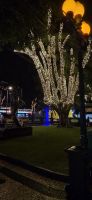 Madeira - Lichterfahrt in Funchal  &ndash; &copy; Ronja Wagner (Eberhardt TRAVEL)