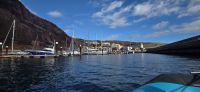 Madeira - Hafen von Caniçal &ndash; &copy; Ronja Wagner (Eberhardt TRAVEL)