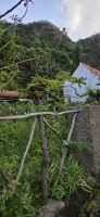 Madeira - Machico - Levada do Caniçal &ndash; &copy; Ronja Wagner (Eberhardt TRAVEL)